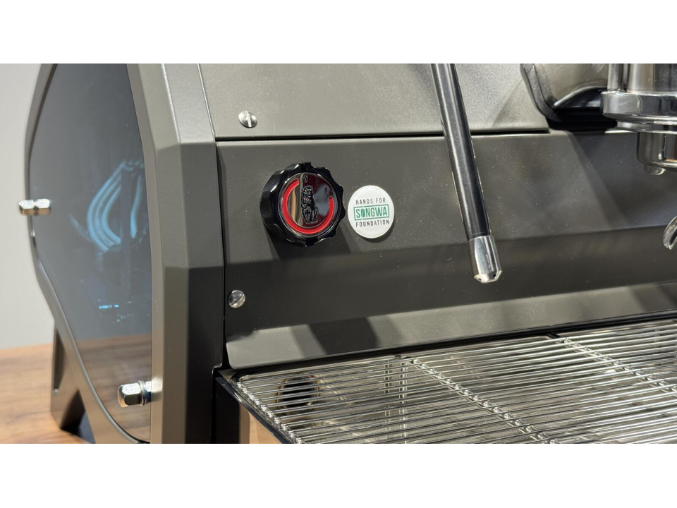 Професійна кавомашина для барів і кафе La Marzocco Strada AV 2GR