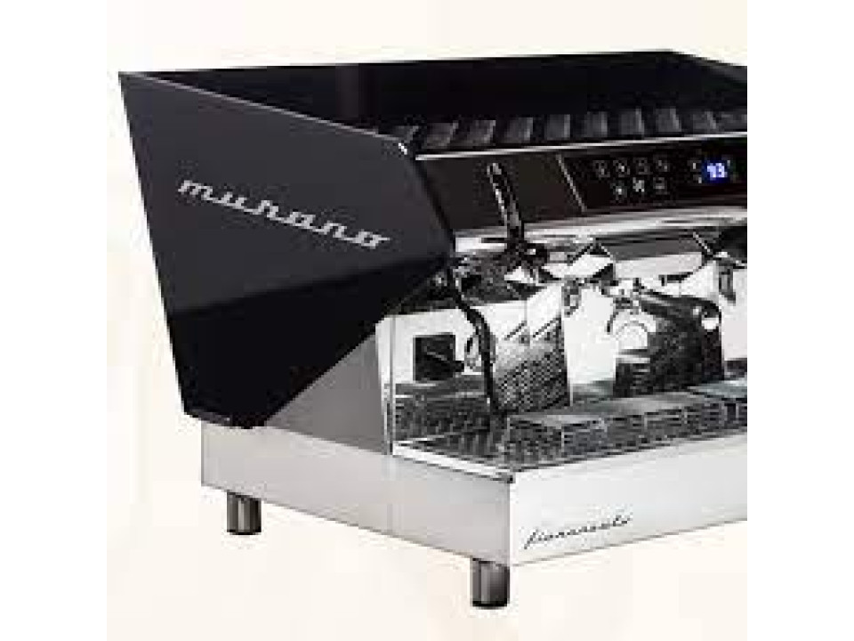 Aparat de cafea profesional pentru baruri si cafenele Fiorenzato Murano 2GR
